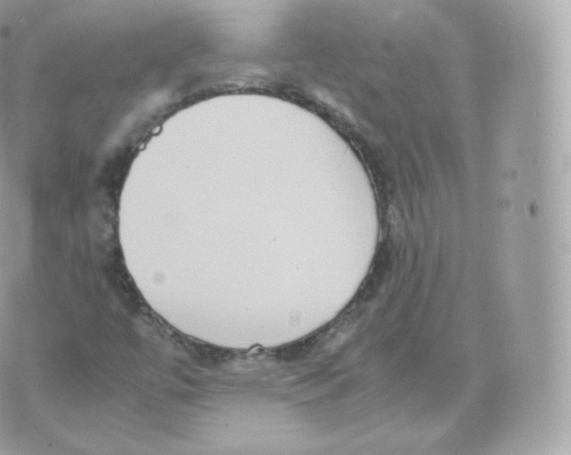 X0000070381447200606301909