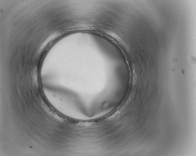 X0000070381450200606301909