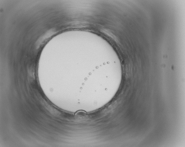 X0000070381451200606301909