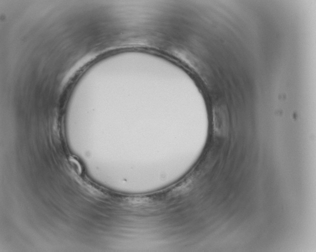 X0000070381452200606301909