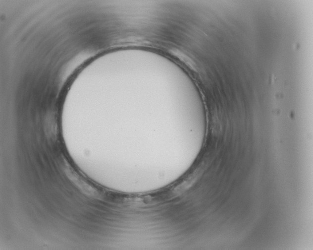 X0000070381458200606301909