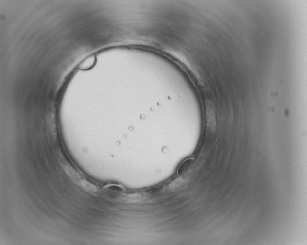 X0000070381460200606301909