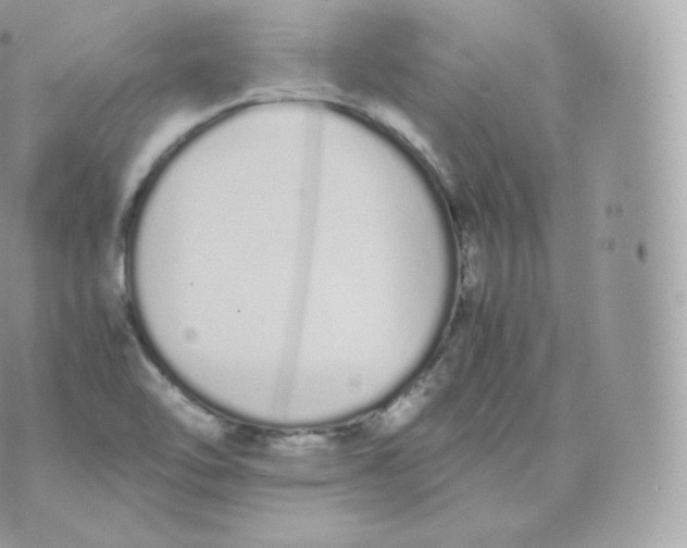 X0000070381462200606301909