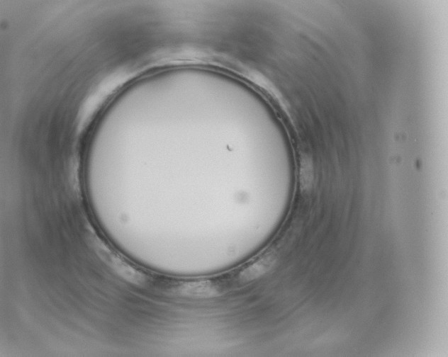 X0000070381464200606301909