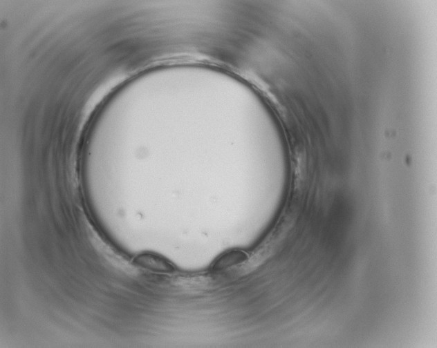 X0000070381466200606301909