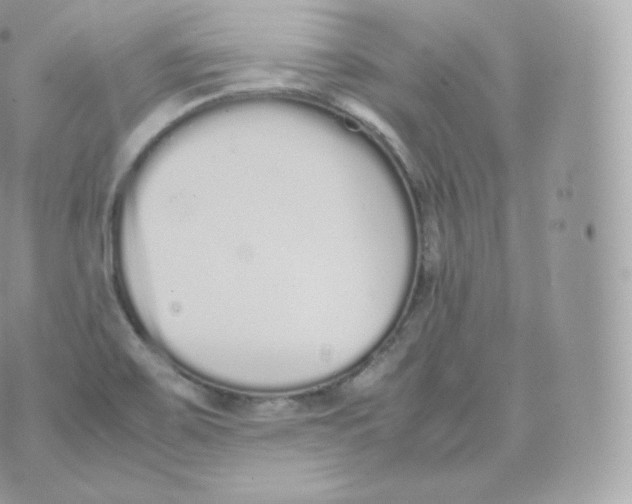 X0000070381467200606301909