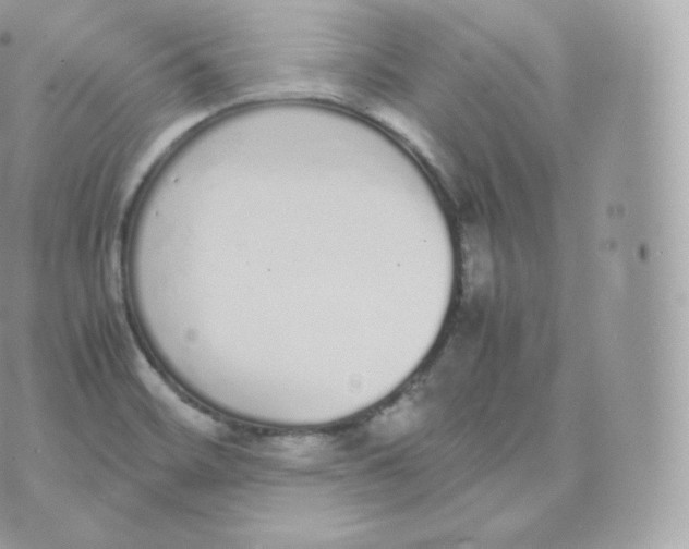 X0000070381468200606301909