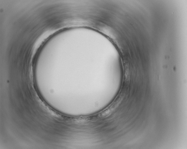 X0000070381472200606301909