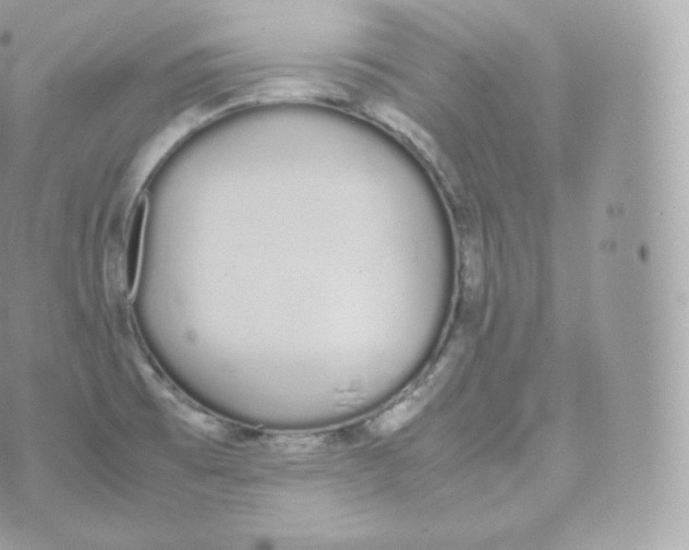 X0000070381473200606301909