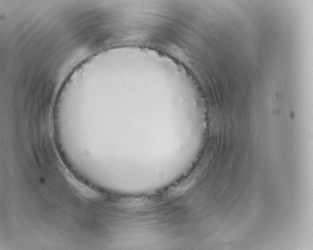 X0000070381474200606301909