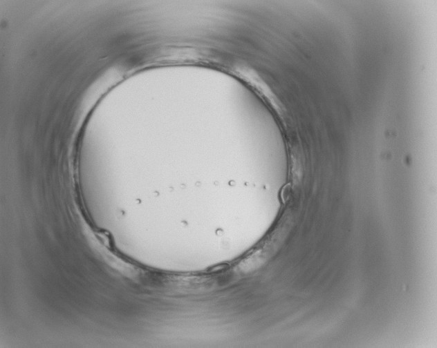 X0000070381475200606301909