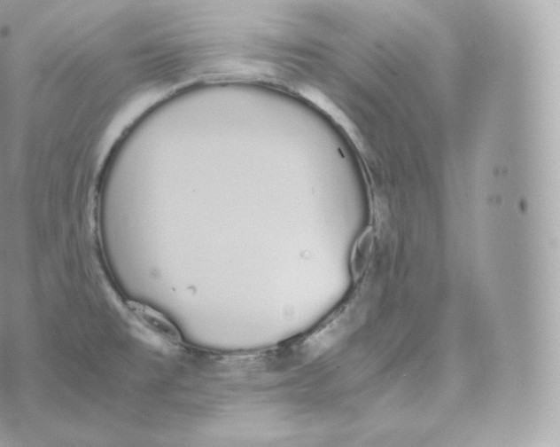 X0000070381477200606301909