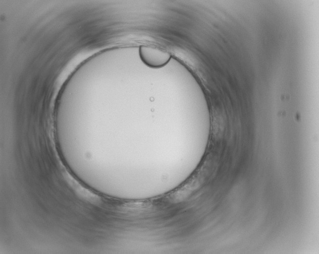 X0000070381478200606301909