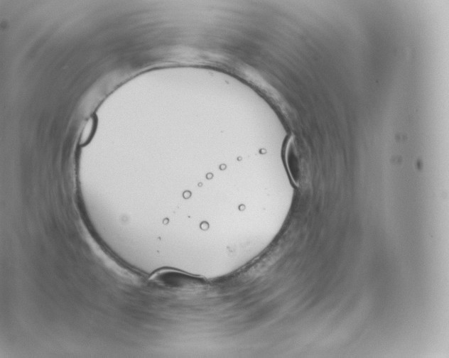 X0000070381479200606301909