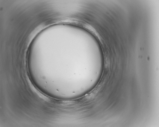 X0000070381483200606301909