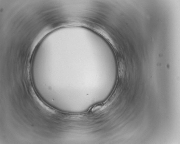 X0000070381484200606301909