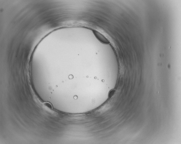 X0000070381486200606301909