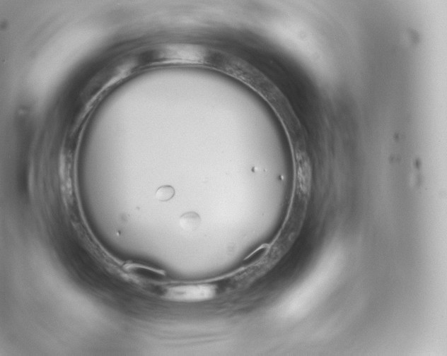 X0000070381487200606301909