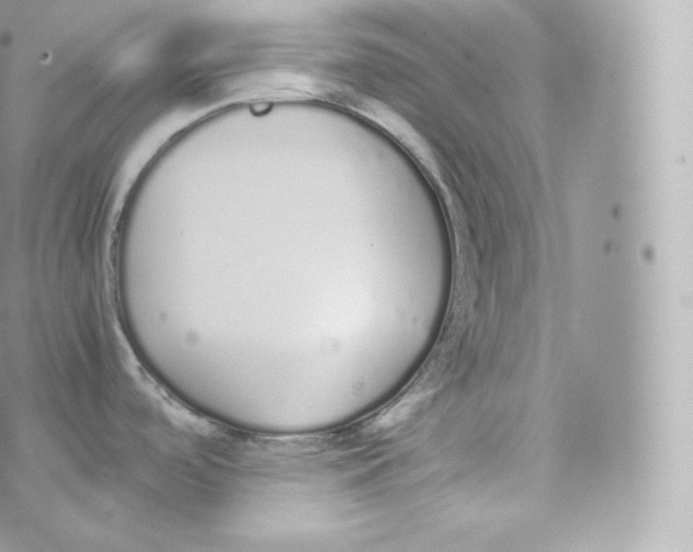 X0000070381488200606301909