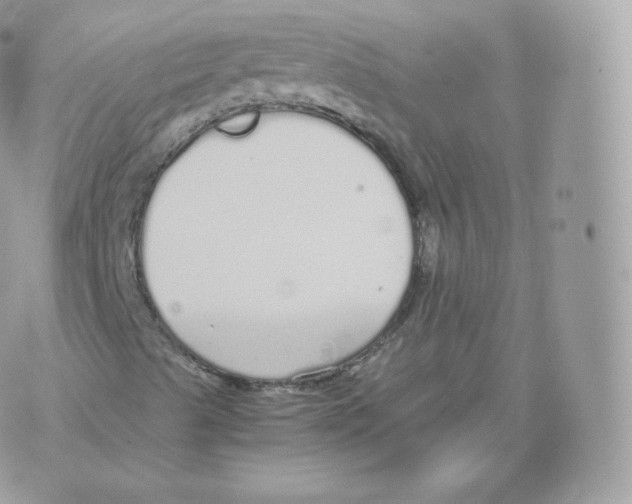 X0000070381489200606301908