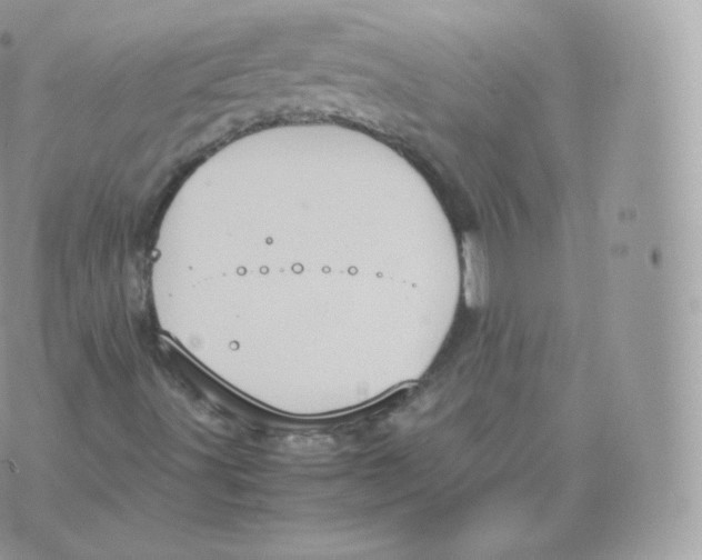 X0000070381491200606301908