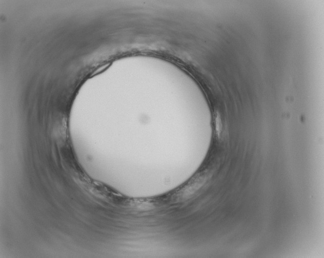 X0000070381492200606301908