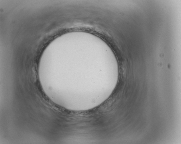 X0000070381493200606301908