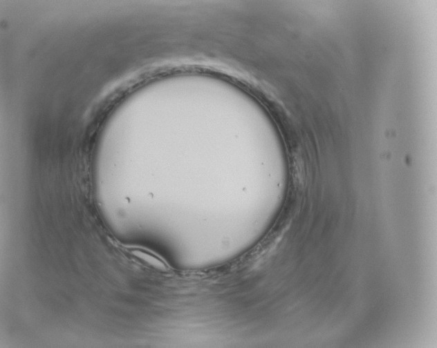 X0000070381494200606301908