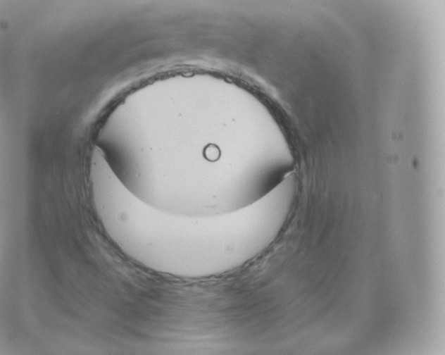 X0000070381496200606301908