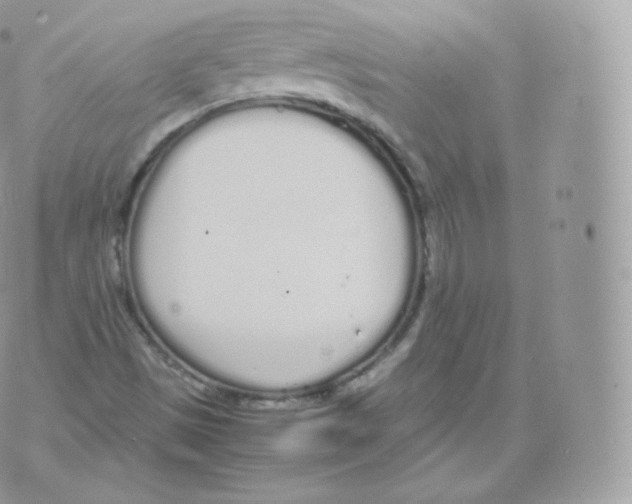 X0000070381497200606301908