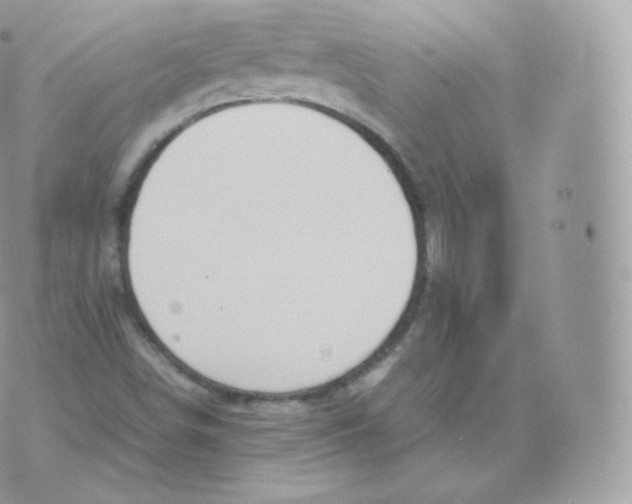 X0000070381498200606301908