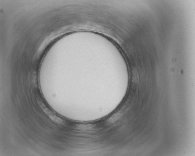 X0000070381499200606301908