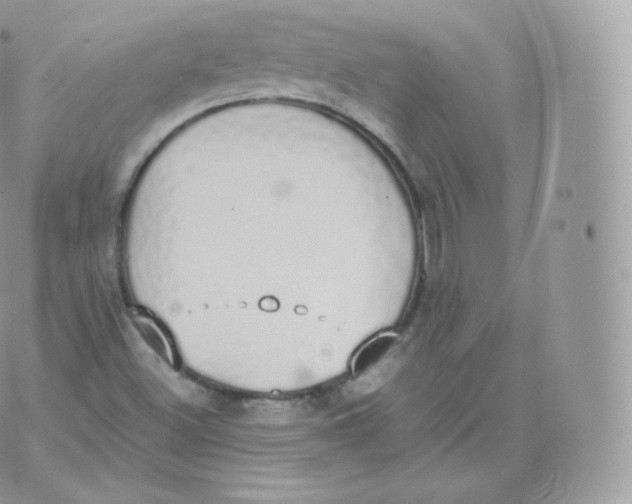 X0000070381500200606301908