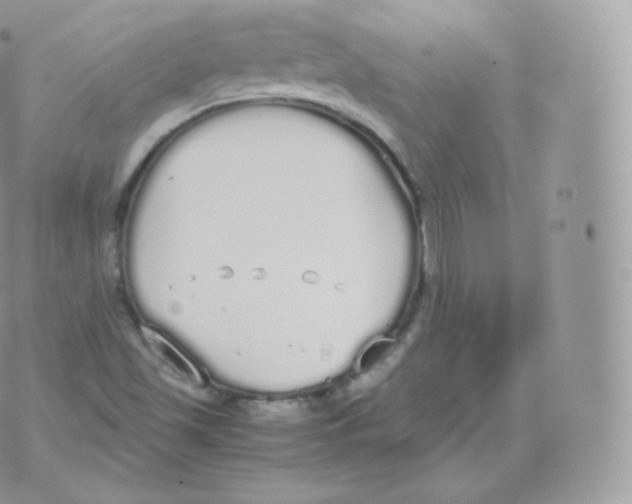 X0000070381501200606301908