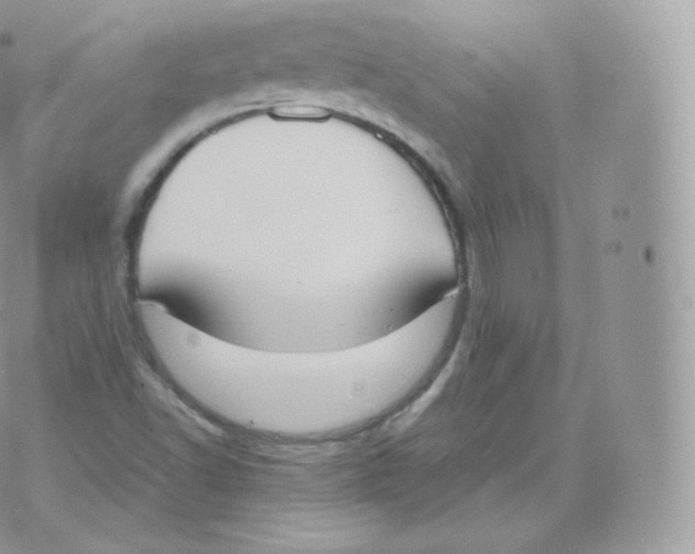 X0000070381502200606301908