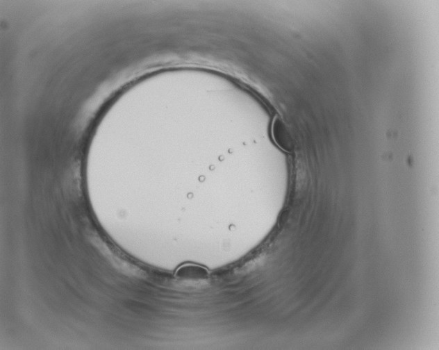 X0000070381503200606301908