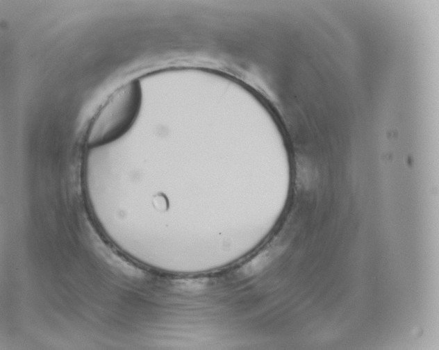 X0000070381504200606301908