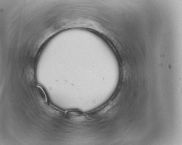 X0000070381505200606301908