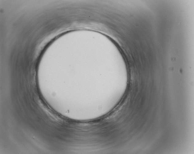 X0000070381507200606301908