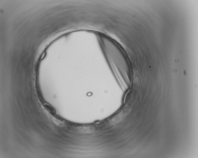 X0000070381508200606301908