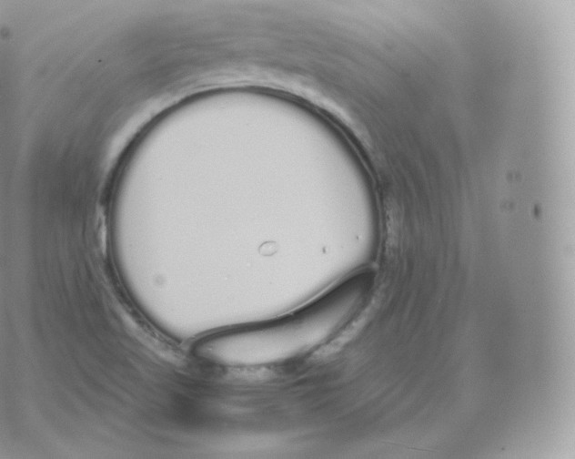 X0000070381509200606301908