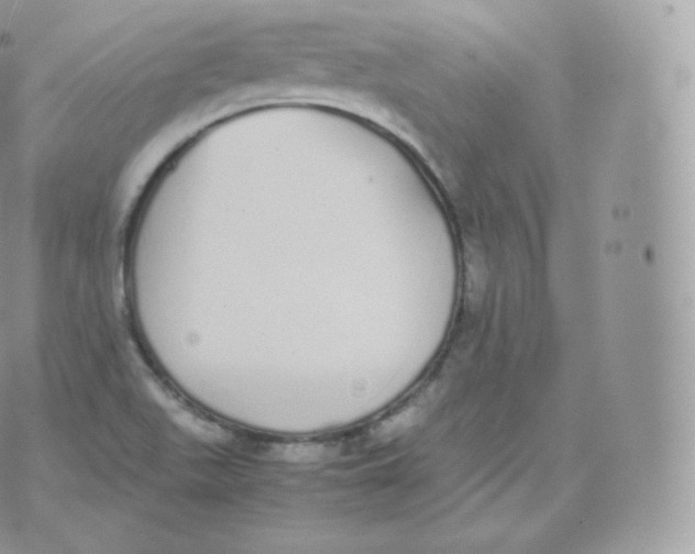 X0000070381511200606301908