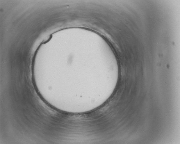 X0000070381512200606301908