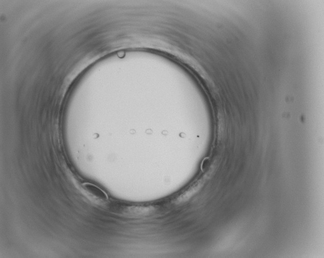 X0000070381513200606301908