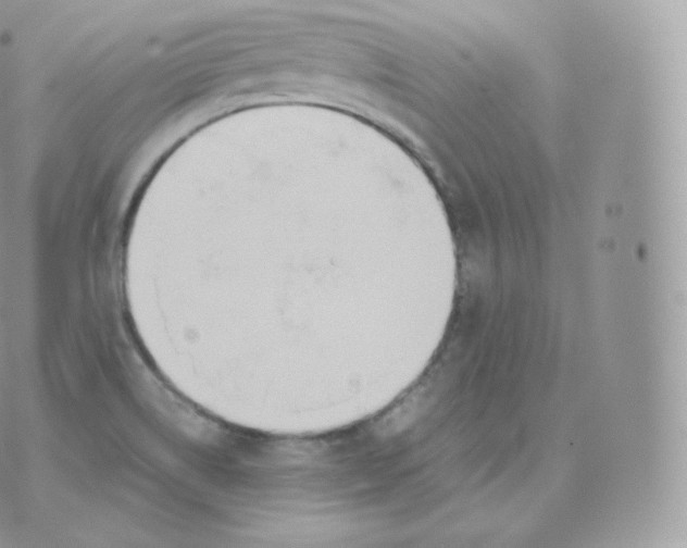 X0000070381514200606301908