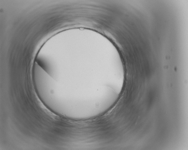 X0000070381516200606301908