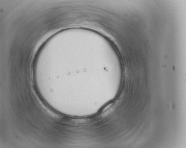 X0000070381517200606301908