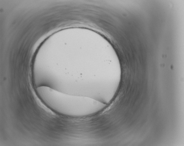 X0000070381518200606301908