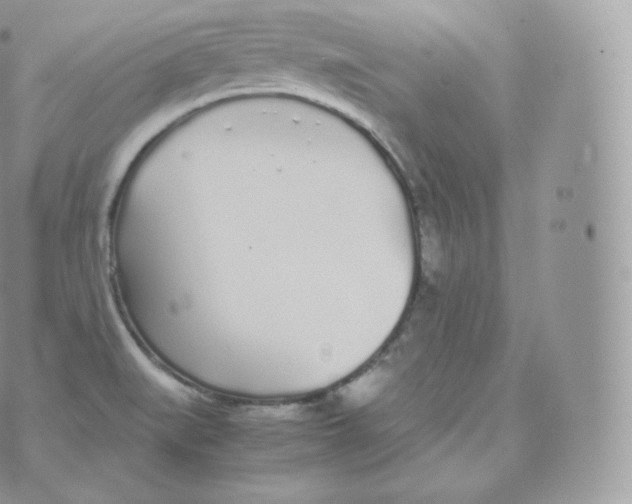 X0000070381519200606301908