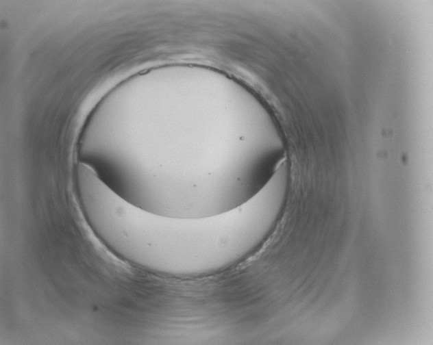 X0000070381520200606301908